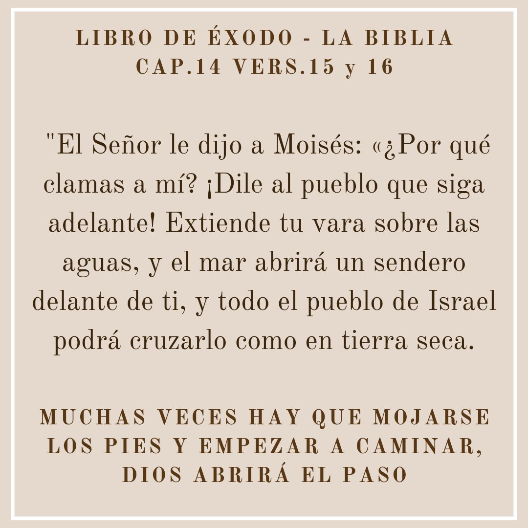 BarberiMatias's tweet photo. #Buenas #Nuevas #Simples y #Sencillas en la #Palabra de #Dios para #Cada #Día
#Amor #Alegría y #Paz 
¡ Que tengas un hermoso día ! #Martes #Avanzar #Fe https://t.co/CoFDiBLe1j
