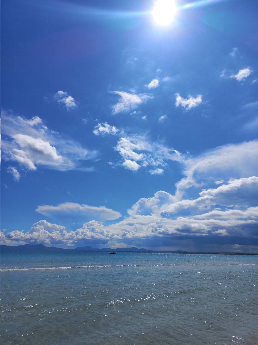 Creixements verticals 🌩 <a href="/MiquelSalamanca/">Miquel Salamanca</a> <a href="/Meteodemallorca/">Balearsmeteo</a> <a href="/AEMET_Baleares/">AEMET_Baleares</a> <a href="/DuncanWingen/">Duncan Wingen</a> <a href="/rbmeteonews/">El Racó Balear de la Meteorologia</a>