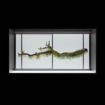 authcode tweet media