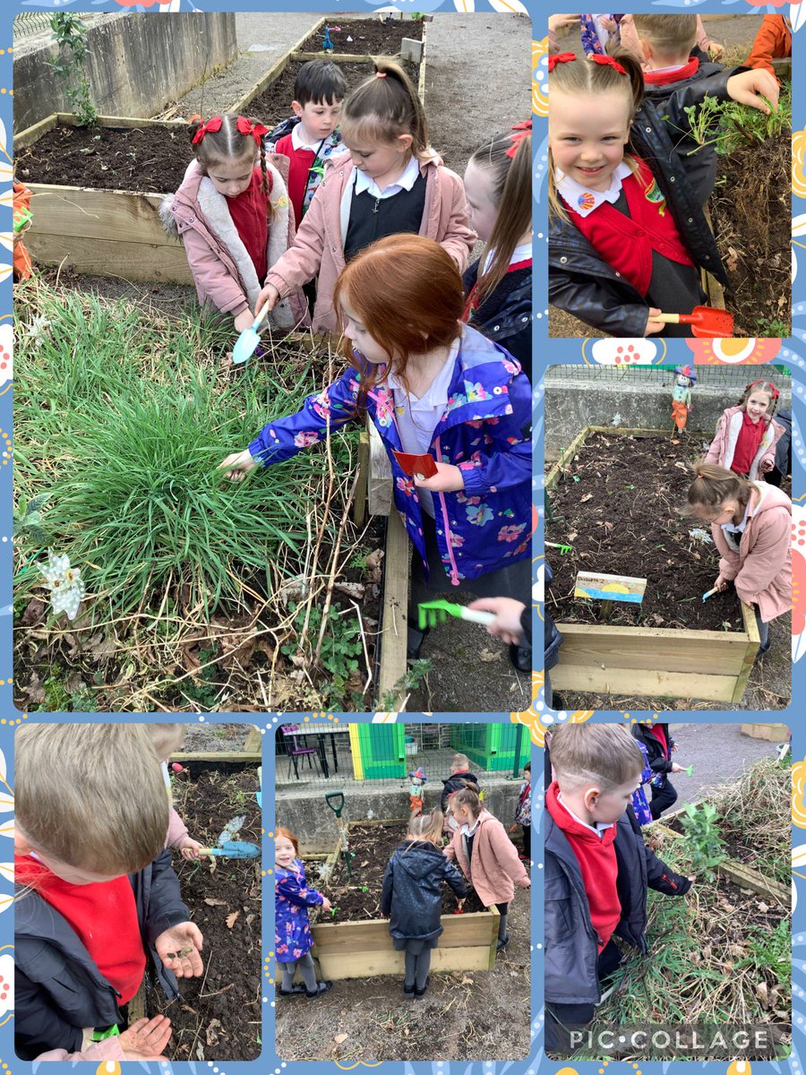 Mrs H Darmanin (@mrshdarmanin95) on Twitter photo Dosbarth un and dosbarth dau making our allotment ready for planting. We talked about the things we could see and the types of tools we were using. We even discovered lots of bugs and insects. Gwaith da pawb.<a href="/MissDalton98/">Miss Dalton</a> <a href="/MrsCLewis95/">Mrs C Lewis</a> <a href="/garntegprimary/">Garnteg Primary</a> #healthyconfidentindividuals Dosbarth un and dosbarth dau making our allotment ready for planting. We talked about the things we could see and the types of tools we were using. We even discovered lots of bugs and insects. Gwaith da pawb.<a href="/MissDalton98/">Miss Dalton</a> <a href="/MrsCLewis95/">Mrs C Lewis</a> <a href="/garntegprimary/">Garnteg Primary</a> #healthyconfidentindividuals