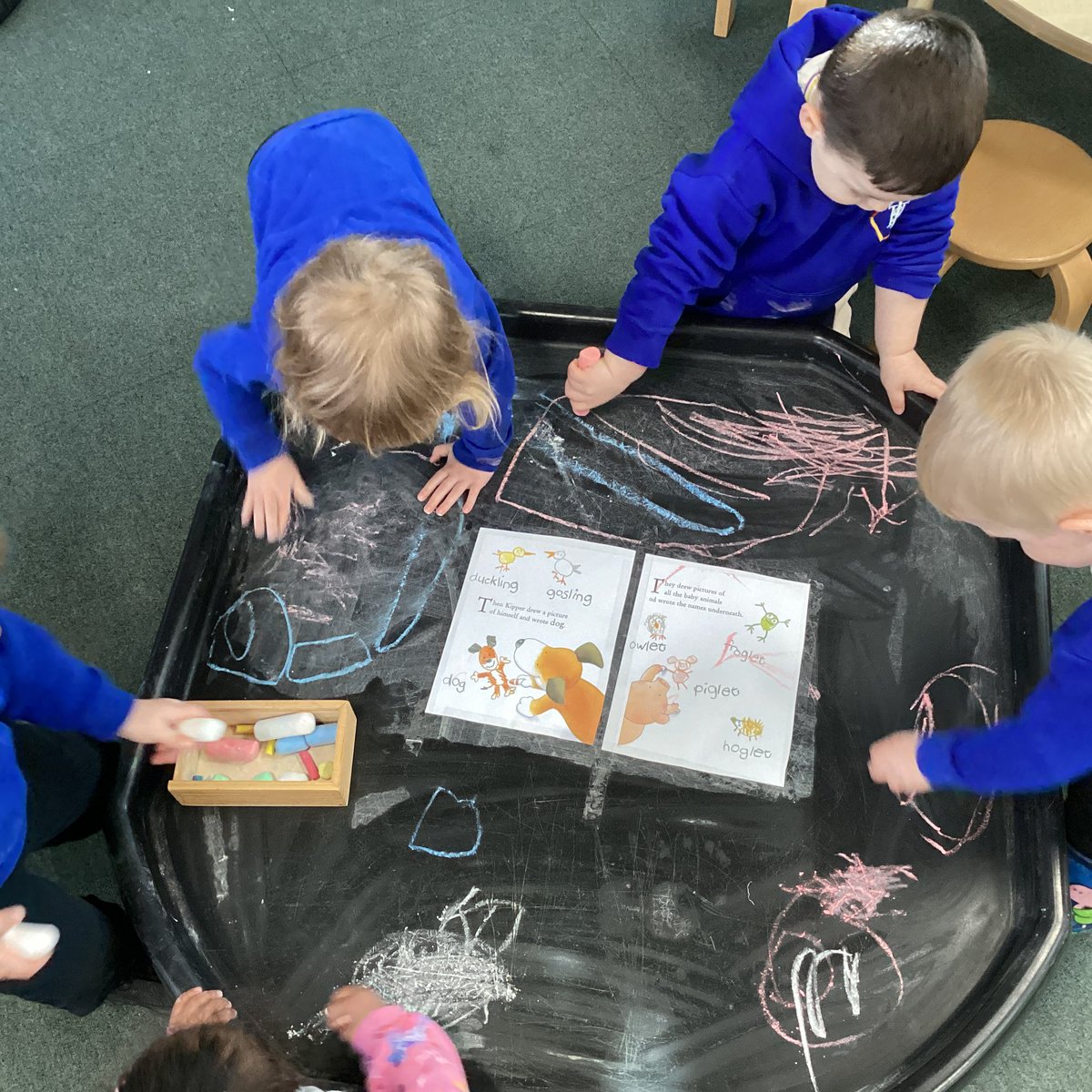 Tang Hall Puffins tweet media