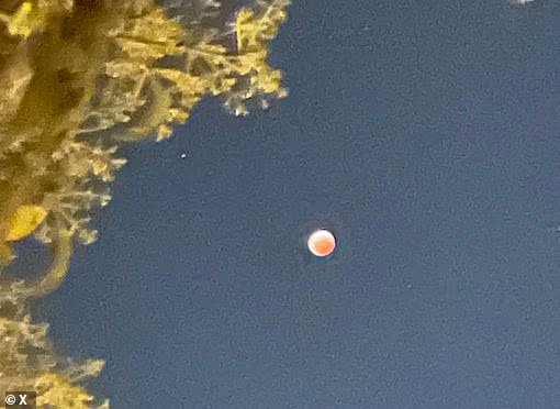OwenGregorian's tweet photo. Mysterious glowing orbs 'coming from mothership' off Florida coast spark fears of another drone invasion | Ellyn LaPointe, Daily Mail

Mysterious glowing orbs have been spotted flying off the coast of Florida - months after New Jersey was invaded by drones.

Residents of Daytona Beach have described the unidentified objects rising directly from the ocean and flying over the surface of the water.

One extremely viral video from March 17 at around 10pm captured what appeared to be a large object moving toward land, and the flare of light surrounding it gradually dissipating to reveal the shape of an aircraft.

While many have dismissed it as simply a passenger plane, locals have shared similar videos online claiming the objects moved in unconventional ways.

One particularly extraordinary theory has surfaced on social media, where locals say a 'group of whistleblowers' claiming to be 'military personnel and sailors' told them the US Navy discovered a 'huge' underwater mothership that they believe is producing the orbs.

'Apparently whatever this thing is has sent numerous pulses of energy out, and apparently knocked out power to a couple of the ships,' one TikTok user explained.

'This thing is appearing on radar and then disappearing off of radar,' he added.

There have also been eyewitness reports of US Navy vessels patrolling near Daytona Beach amid the orb sightings, with many speculating that they are there to observe or respond to the bizarre activity.

These reports are unverified. But after thousands of unidentified drones were reported throughout the US just a few months ago, Floridians are concerned that the activity appears to have started up again in their state.

The Florida orb phenomenon gained widespread attention when TikTok user 'CocoSongz' shared a video of a bright orb flying over the ocean off the coast of Daytona Beach around 10pm ET on March 17.

In the video, eyewitnesses can be heard exclaiming that the object 'came out of the ocean' and that several more objects were flying around it, though they cannot be seen in the footage.

'Y'all we got real alien activity going on,' one eyewitness said.

While multiple eyewitnesses have said that they saw the orbs rising straight out of the water, no footage of them doing so has surfaced.

CocoSongz later posted several more videos of Unidentified Aerial Phenomena (UAP) flying over the ocean, but they have since been removed from her TikTok page.

The original video has been shared widely on social media, and similar footage began to surface from other sources as well.

TikTok user 'djlovelyy' posted a video of a bright orb flying near the moon off the coast of Miami Beach on the evening of March 18.

The orb gradually fades and then disappears from view.

From November to December 2024, thousands of 'car-sized' drones were reported flying or hovering over residential communities, military bases and other locations across several regions of the US.

The phenomenon began in New Jersey, with the first drone sighting occurring over Picatinny Arsenal in Morris County on November 13.

The activity soon spread across the state and then the region, with reports surfacing in New York, Pennsylvania, Connecticut and many other states.

The phenomenon eventually swept across the country. Drone reports emerged in several regions and over more military bases, sparking widespread panic.

On December 3, the Federal Bureau of Investigation (FBI) launched an investigation into the activity. But by mid-December, they determined that most of the sightings could be explained by normal aerial activities.

'We have no evidence at this time that the reported drone sightings pose a national security or public safety threat or have a foreign nexus,' the FBI and Department of Homeland Security (DHS) said in a joint statement issued on December 12.

But many state officials and concerned citizens were not satisfied, and continued to report sightings and pressure the Federal government for answers through January.

Now, orbs spotted in Florida have raised concerns once again, as no one has been able to determine exactly what these objects are or where they are coming from.

But it is possible that these strange lights have a mundane explanation.

Orbs in photos or videos are typically created by light shining through dust particles or water droplets that reflect the light and cause it to flare.

When flying over the ocean at night, an aircraft's headlights can give it an orb-like appearance as the light shines through fog or mist.

As for whether the origin of these aircraft is foreign, or even extraterrestrial, there is currently no solid evidence to suggest this is the case.

Read more:

https://t.co/qnoJ8rKGW2
