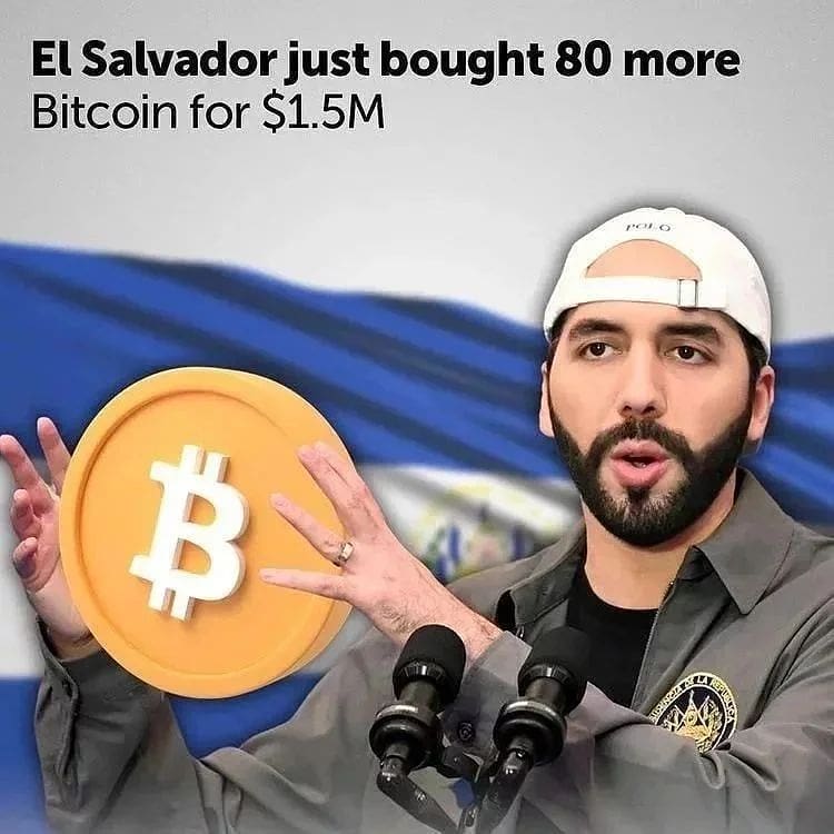 El Salvador just bought 80 more Bitcoin for $1.5M 💰💰 . . gainwithsouthbfinnese gainwithmtaaraw gainwithlarrymemes gainwithmchina gainwithbundi gainwithbundi gainwiththeepluto
