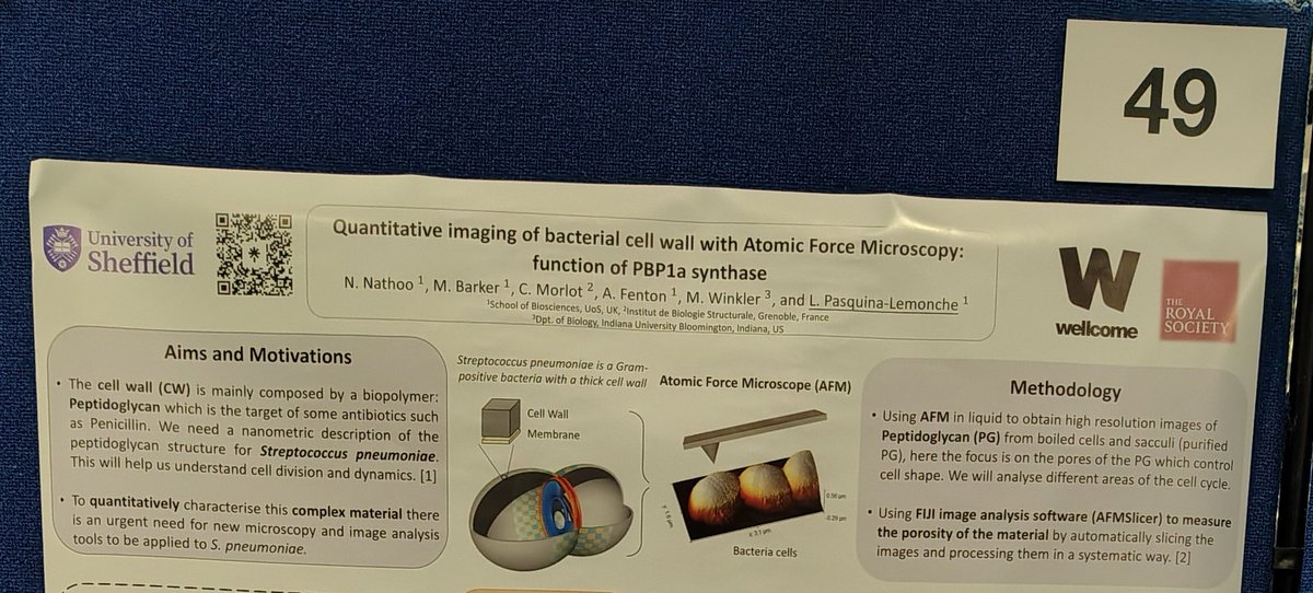 The #POL2025 physics of Life conference has started and it's brilliant to have such amazing scientists and industries together sharing knowledge 🔬🎉🧫 Come find me tonight in the poster session at #poster49 to talk about Bacteria, AFM and an image analysis available on #GitHub