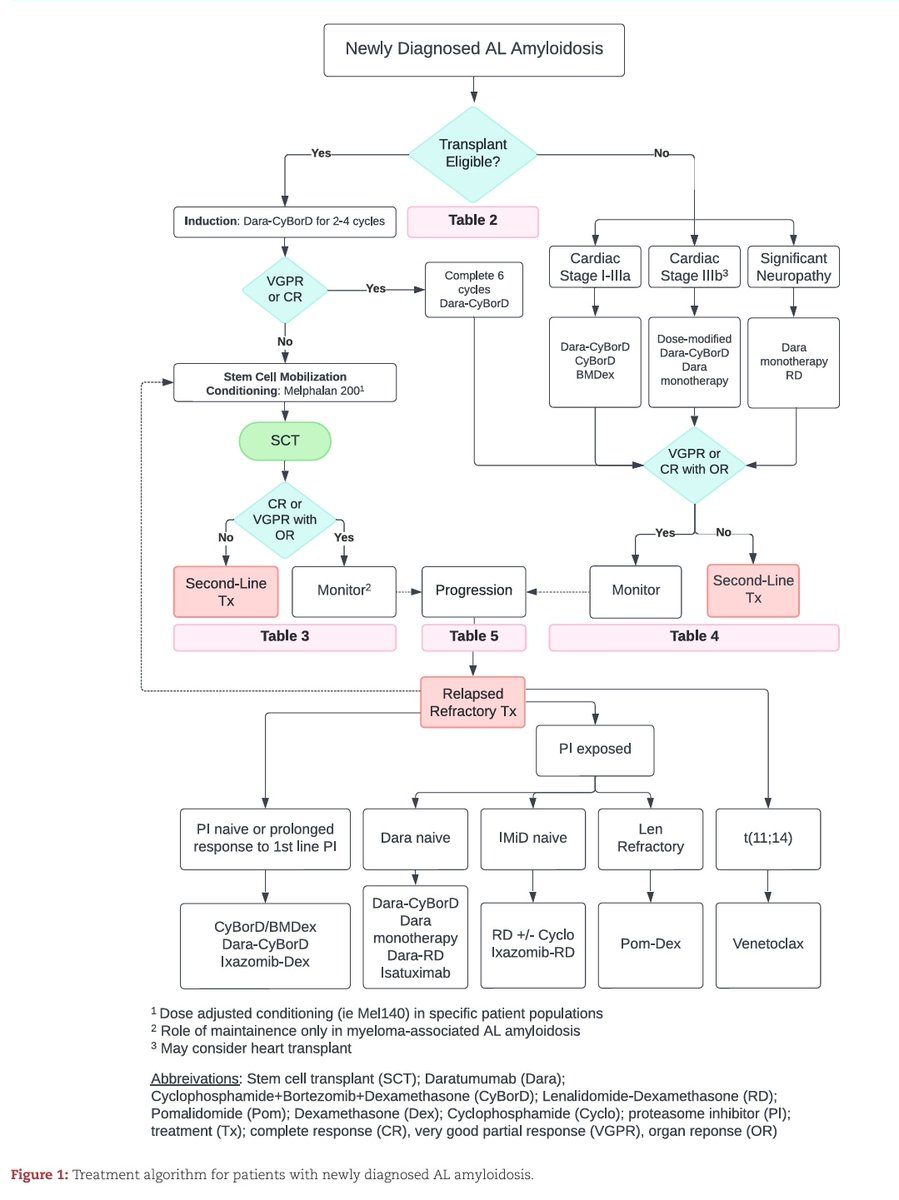 Light chain (AL) amyloidosis - pathophysiology, diagnosis and treatment standard.

⚠️ Multisystem disorder due to deposition of misfolded protein fibrils 

⚠️ Heart , Kidney and liver are commonly involved 

⚠️ Around 20% patients require RRTs in their lifetime

✅ Median