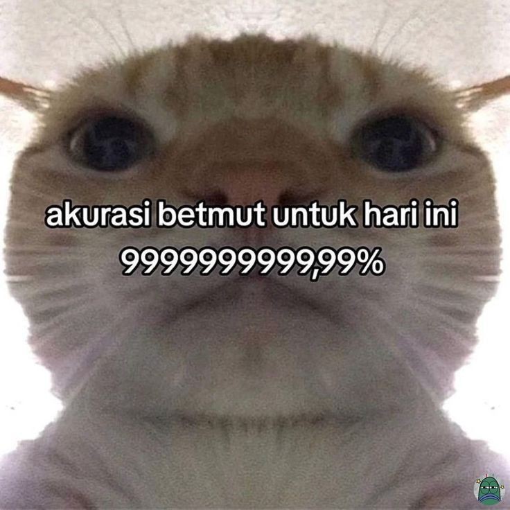 cacakim5300's tweet photo. Saatnya katakan KONTOL😤😤😤 https://t.co/6SIZ2MkReq