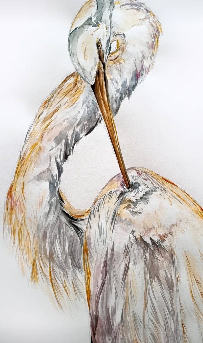 papermark4you's tweet photo. Relaxing☺️
#art #artist #painting #bird #heron #comissions #fiverr #freelance #danube #danubedelta https://t.co/Oy3uJQXhIk