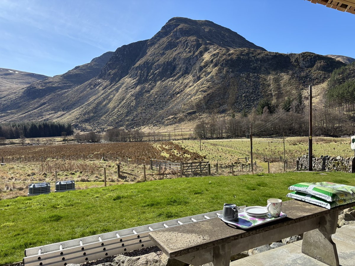 What a gorgeous morning!