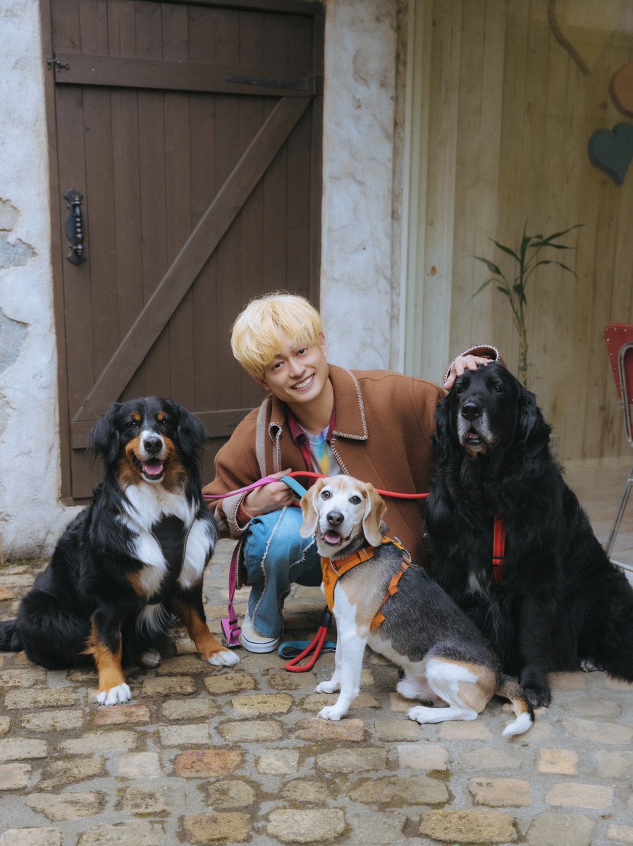 保護施設で出会った 3匹の愛しい存在 塚田僚一（A.B.C-Z） ______