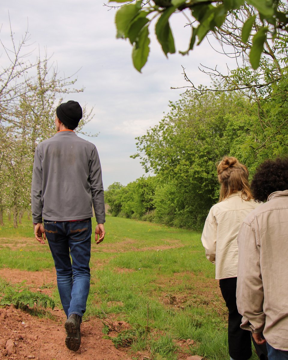 We have extended the pitch entry deadline for the Future of Cider by two whole weeks! This means you have until the 14th of April to get your pitches in 🍎🍐

If you're interested in writing a piece then head to the link in below for more information 

burumcollective.com/pitching-2025