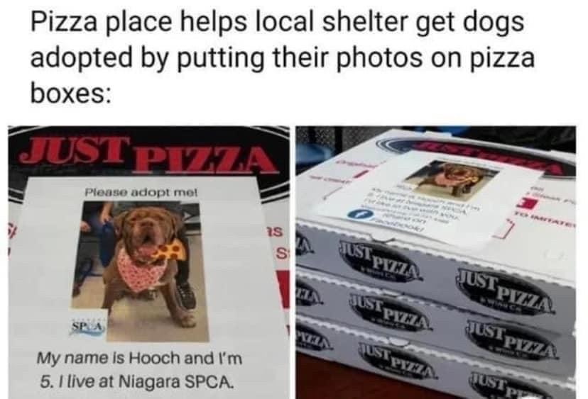 WholesomeMeme's tweet photo. https://t.co/DwEoFDT4vY