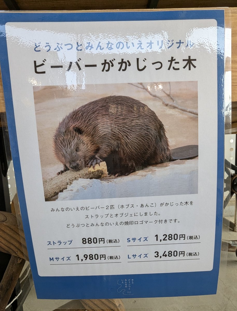 投稿したいこと溜まってるのですが、 取り急ぎ、これを！！ #霞ケ浦