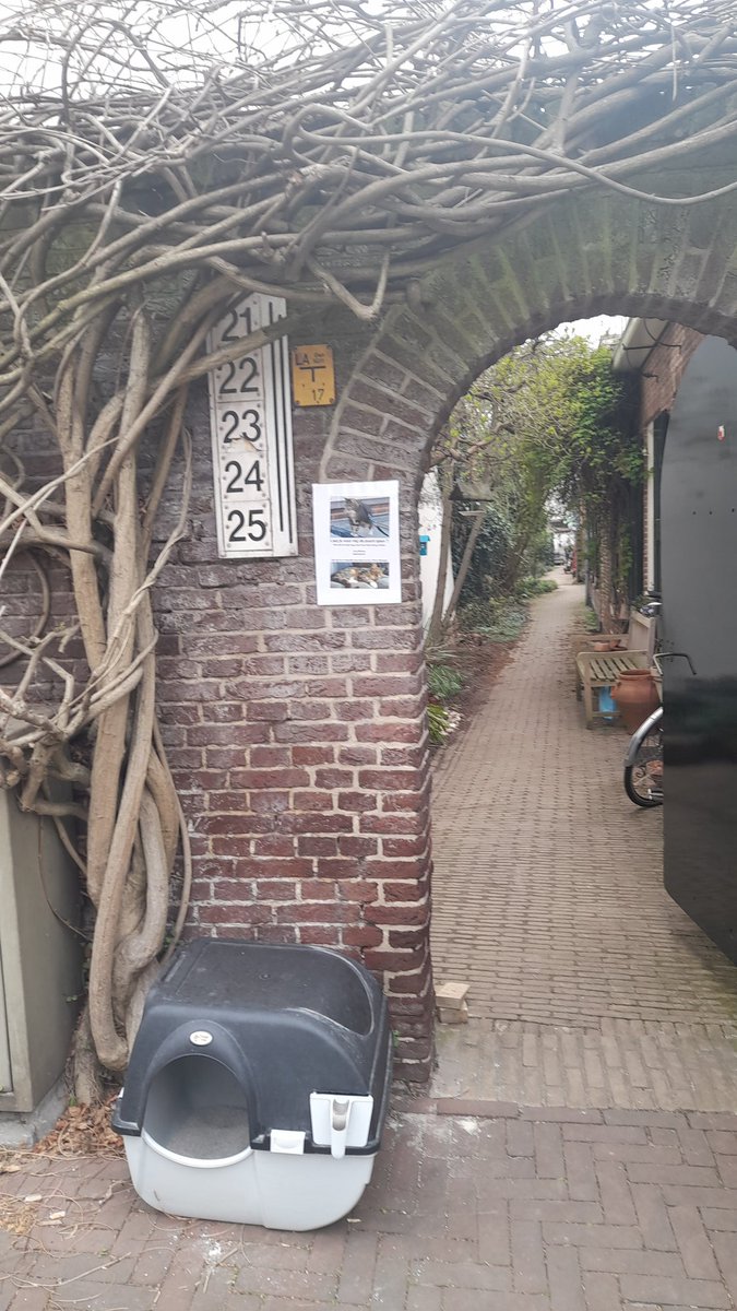 JolandaUtrecht's tweet photo. Kat Streepje wordt erg gemist. 😌Zag de halve binnenstad volgeplakt met posters. Poort Wittevrouwensingel. https://t.co/U7NnvD3yYC