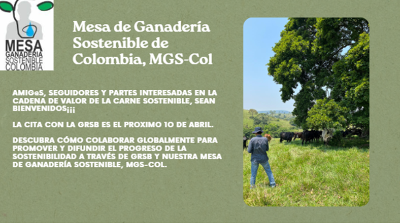 Mesa de Ganadería Sostenible Colombia tweet media
