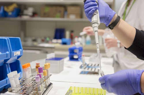 Hospital del Mar (@hospitaldelmar) on Twitter photo New study compares plasma #biomarkers for detecting #Alzheimer’s disease in memory clinics
The plasma p-tau biomarkers demonstrated superior accuracy in detecting Alzheimer's compared to other biomarkers
#Neurologia <a href="/BarcelonaBeta/">Barcelonaβeta Brain Research Center</a> <a href="/HMar_research/">HMar Research Institute</a>
hospitaldelmar.cat/en/noticies/vi… New study compares plasma #biomarkers for detecting #Alzheimer’s disease in memory clinics
The plasma p-tau biomarkers demonstrated superior accuracy in detecting Alzheimer's compared to other biomarkers
#Neurologia <a href="/BarcelonaBeta/">Barcelonaβeta Brain Research Center</a> <a href="/HMar_research/">HMar Research Institute</a>
hospitaldelmar.cat/en/noticies/vi…