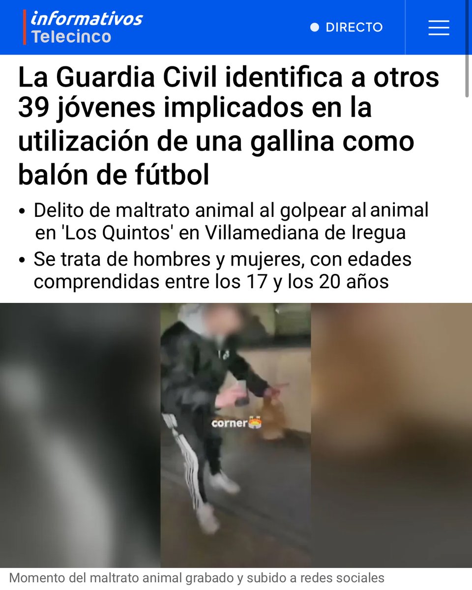 ❌¡No pueden irse de rositas!

🐓En agosto dos jóvenes eran investigados por pegar patadas a una gallina como si fuera un balón, en 'Los Quintos' en Villamediana de Iregua. Ahora la investigación se centra en 39 jóvenes más.

👮‍♀️Pagarán una multa y se irán a casa. Exigimos un