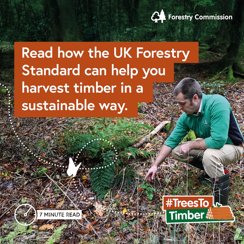 ForestryComm's tweet photo. Investing in responsible forest management today ensures a thriving, resilient landscape for tomorrow. 

Our NEW #TreesToTimber blog explores how the UK Forestry Standard (UKFS) sets the benchmark for sustainable forestry &amp; responsible timber harvesting.