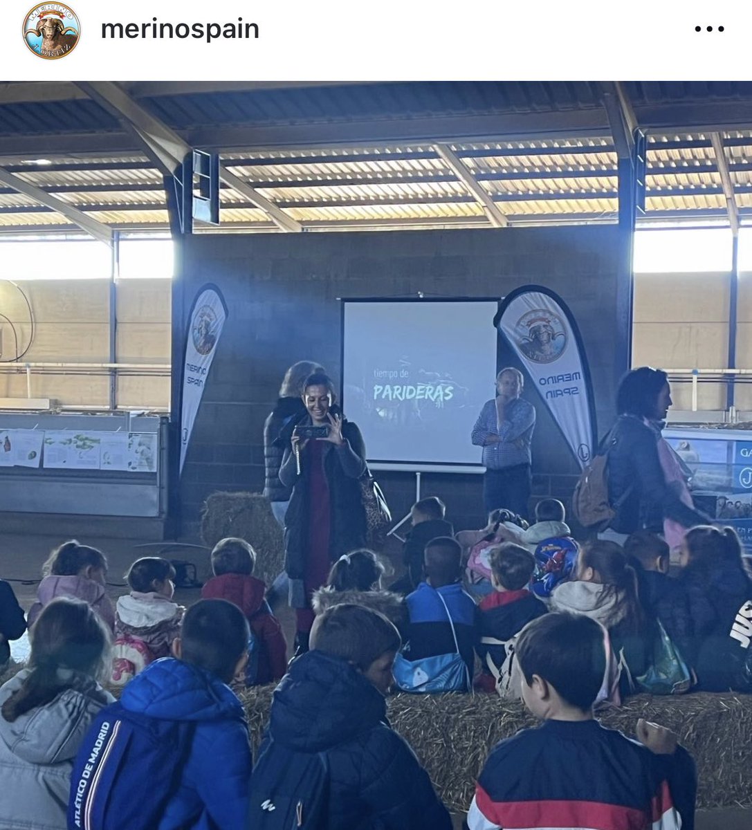 Merino Spain tweet media