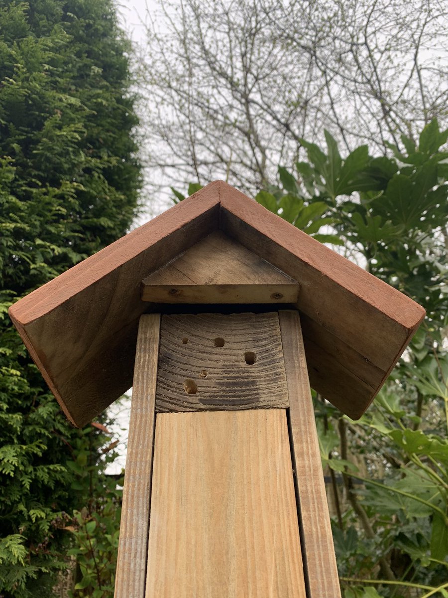 Finished this bug hotel tower off today…….it had found itself a new home before the roof preservative had even dried!! 🙃👍🏼👊🏼🐛🐞🦋
