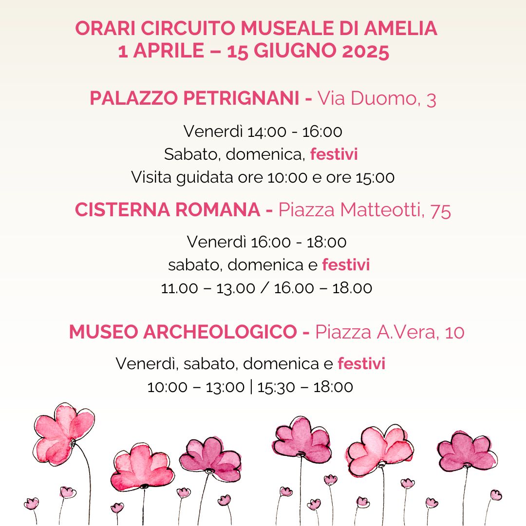 AmeliaMusei tweet media