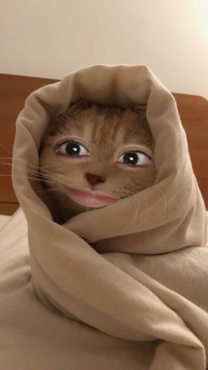 ＼ 早起きなんて体に悪いからやめな ／
