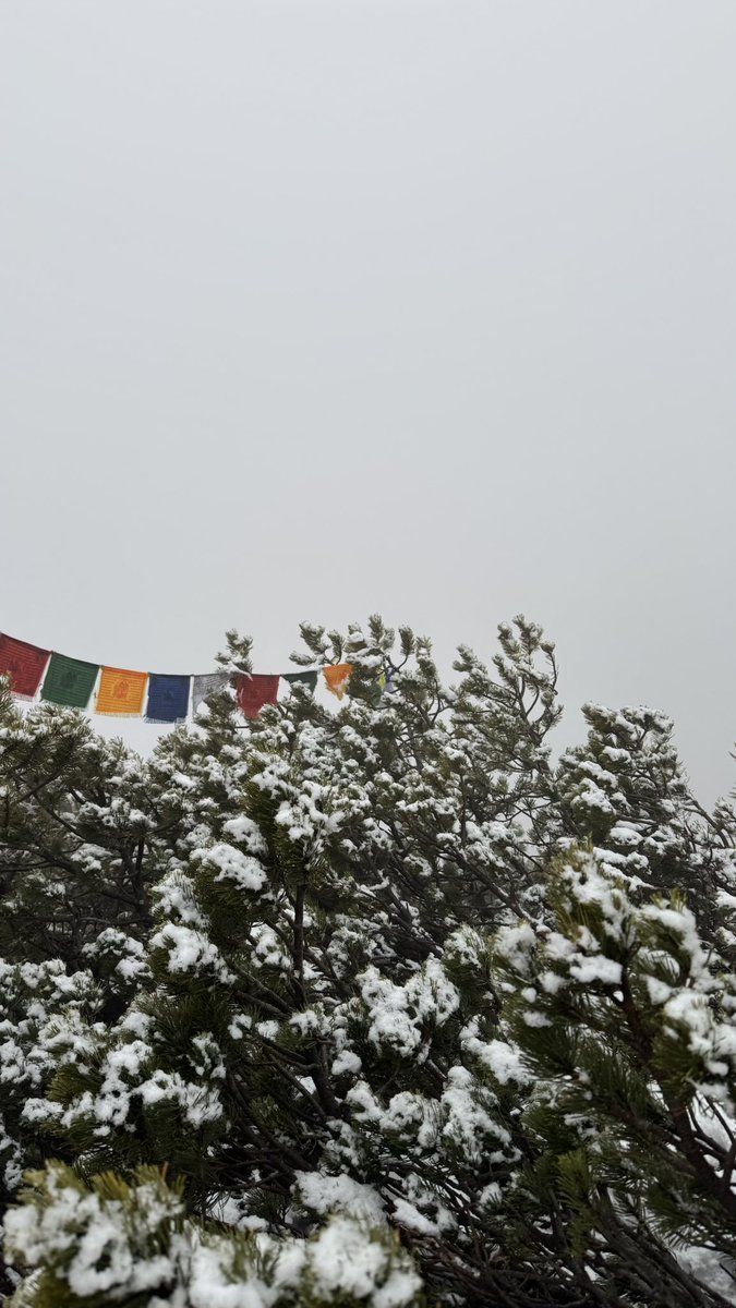 srcakh's tweet image. From valorant 8h a day to climbing 30-50% incline for 12 hours