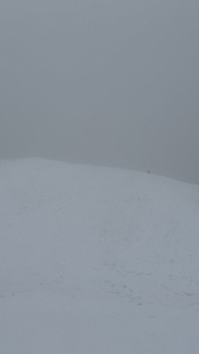 srcakh's tweet image. From valorant 8h a day to climbing 30-50% incline for 12 hours