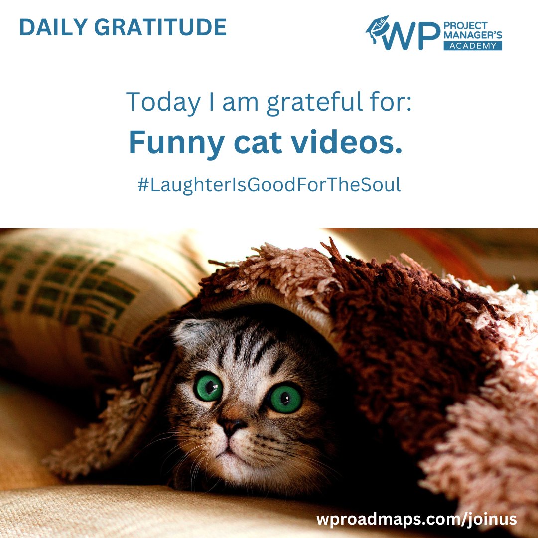 Project Management for Profit tweet media