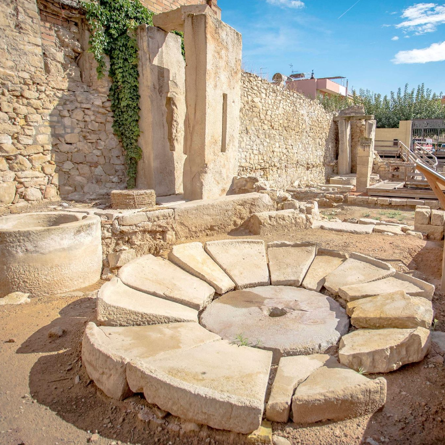 Terres de l'Ebre (@terresebretur) on Twitter photo 🫒 El Molí d'Oriol us mostra la gran tradició de la producció d'oli d'oliva que hi ha a #Flix. Voleu saber com era el seu procés de producció al segle XVII en una visita guiada?
📞 654 65 19 66
📩 lacana.flix@gmail.com
📸 © Jaume Boldú
<a href="/FlixTurisme/">Flix Turisme</a> #TerresdelEbre 🫒 El Molí d'Oriol us mostra la gran tradició de la producció d'oli d'oliva que hi ha a #Flix. Voleu saber com era el seu procés de producció al segle XVII en una visita guiada?
📞 654 65 19 66
📩 lacana.flix@gmail.com
📸 © Jaume Boldú
<a href="/FlixTurisme/">Flix Turisme</a> #TerresdelEbre