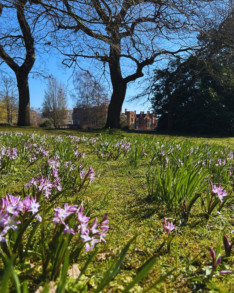 Spring has definitely sprung on campus 🌼🌷

Wherever you are in the world, here's a few postcards from York to brighten your day!