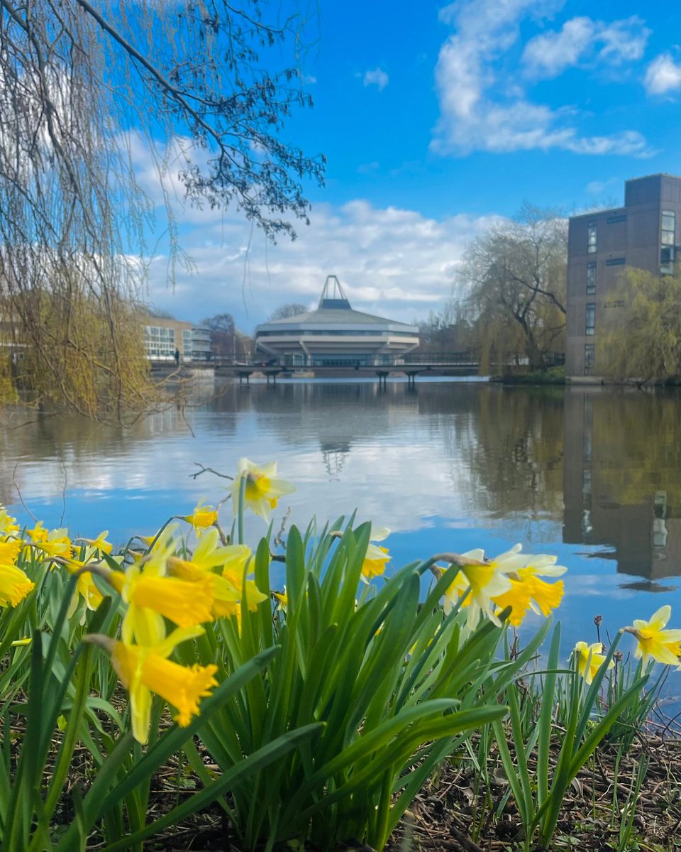 York for Life tweet media