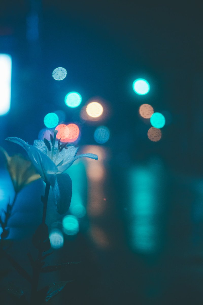 natu__7ao's tweet photo. rainy day https://t.co/gurqjh18JC