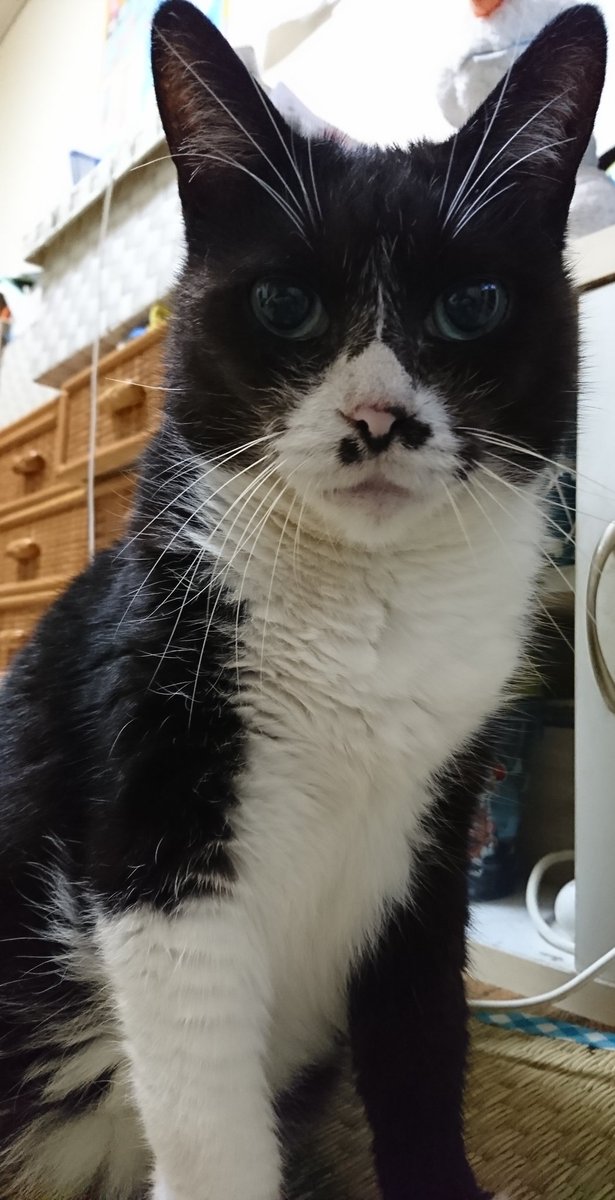 めぐ子 tweet media