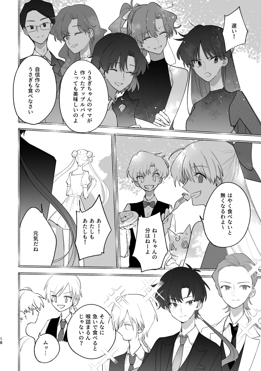 セーラーコスモスとボイジャーが出会う話(4/6) 
