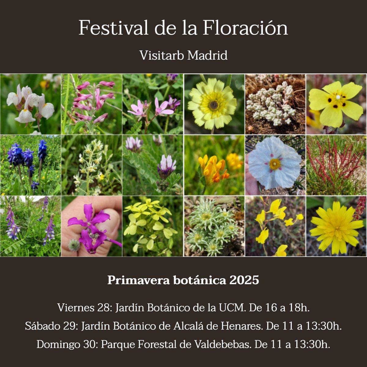 FESTIVAL DE LA FLORACIÓN

Próximas excursiones de Visitarb Madrid

VIERNES 28
Jardín Botánico de la Universidad Complutense

SÁBADO 29
Jardín Botánico de la Universidad de Alcalá de Henares

DOMINGO 30
Paque Forestal de Valdebebas

visitarb.com/primavera-bota…