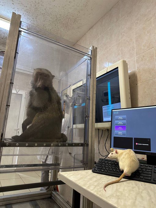 $ELVIS ‘S BACK LIKE A PRESLEY 🕺🏽

YbuURTses32NtSGyyWZzwaUWnoNTAbFjdYaC1nGpump

<a href="/elvisape/">ELVIS APE</a> 👨🏽‍🔬