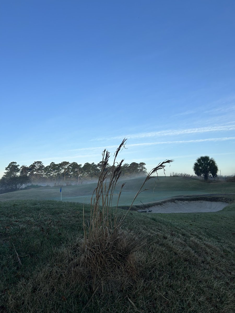 TrueBlueGolf's tweet image. ❤️ March Colors 💯 @MyrtleBeachGolf @MBTrips @MyMyrtleBeach @HammockCoastSC #myrtlebeachgolflive #mikestrantzdesign #pawleysisland #visitmyrtlebeach