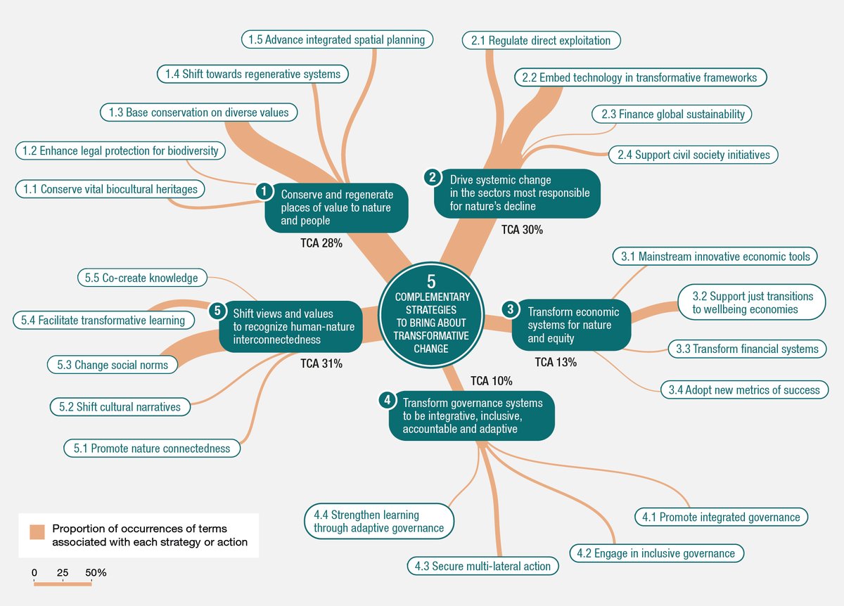 🎯 5 key strategies for transformative change: From conserving vital places to shifting values.

Together these create pathways to just and sustainable futures.

<a href="/IPBES/">ipbes</a> #TransformativeChange Assessment

Read more: ipbes.net/transformative…