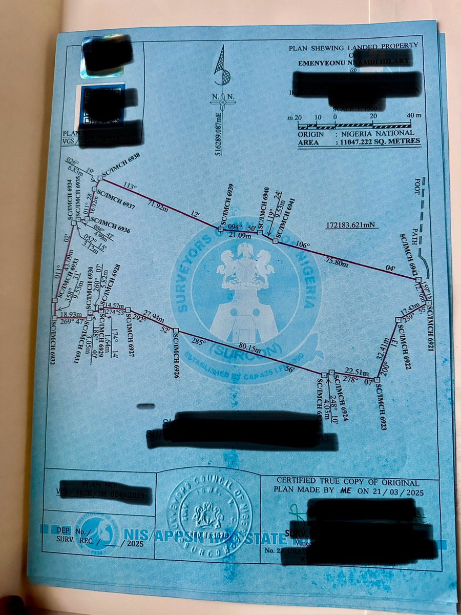 Marjid Cryptonite tweet media