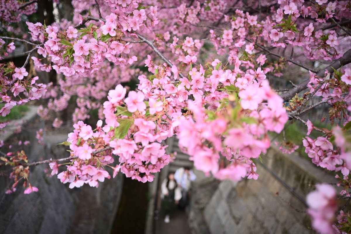 PhotoOrdinary's tweet photo. #photography https://t.co/5LRCRuKlkU