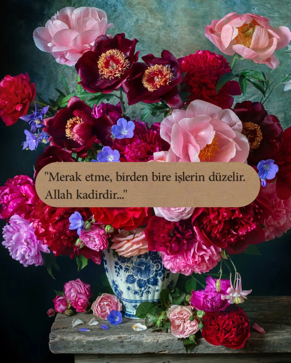 Mavera (@acz_mavera) on Twitter photo 