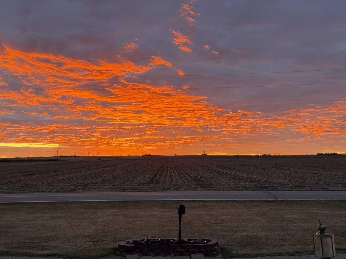 Lona Nelson tweet media