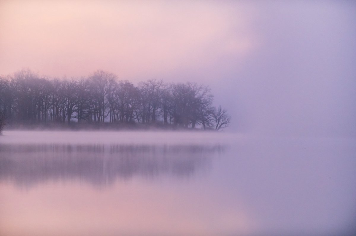 We will never get tired of beautiful foggy sunrises at your preserves. 😍

✅ Read spring 𝘏𝘰𝘳𝘪𝘻𝘰𝘯𝘴 and subscribe: LCFPD.org/Horizons
📍 Fox River in Port Barrington
📸 John D. Kavc