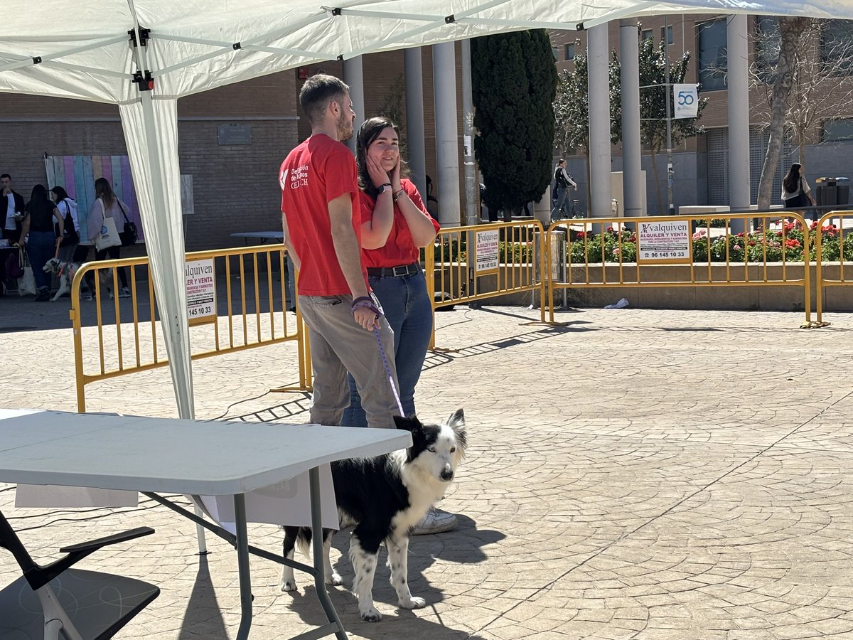 PROGRAMA ESPECIAL POR EL DIA DEL ESTUDIANTE EN LA UCH-CEU 🚨‼️Entrevistamos a Natasha, de la protectora <a href="/modepran/">Modepran</a>, que está participando en un desfile de perros en nuestro campus para visibilizar su adopción 🐾

<a href="/maartiiuxx/">Marta</a> <a href="/Mnpatri93/">𝑻𝑼𝑹𝑨𝟗𝟑⁷ || 𝑩𝑻𝑺 𝑰𝑺 𝑩𝑨𝑪𝑲 ☆</a>