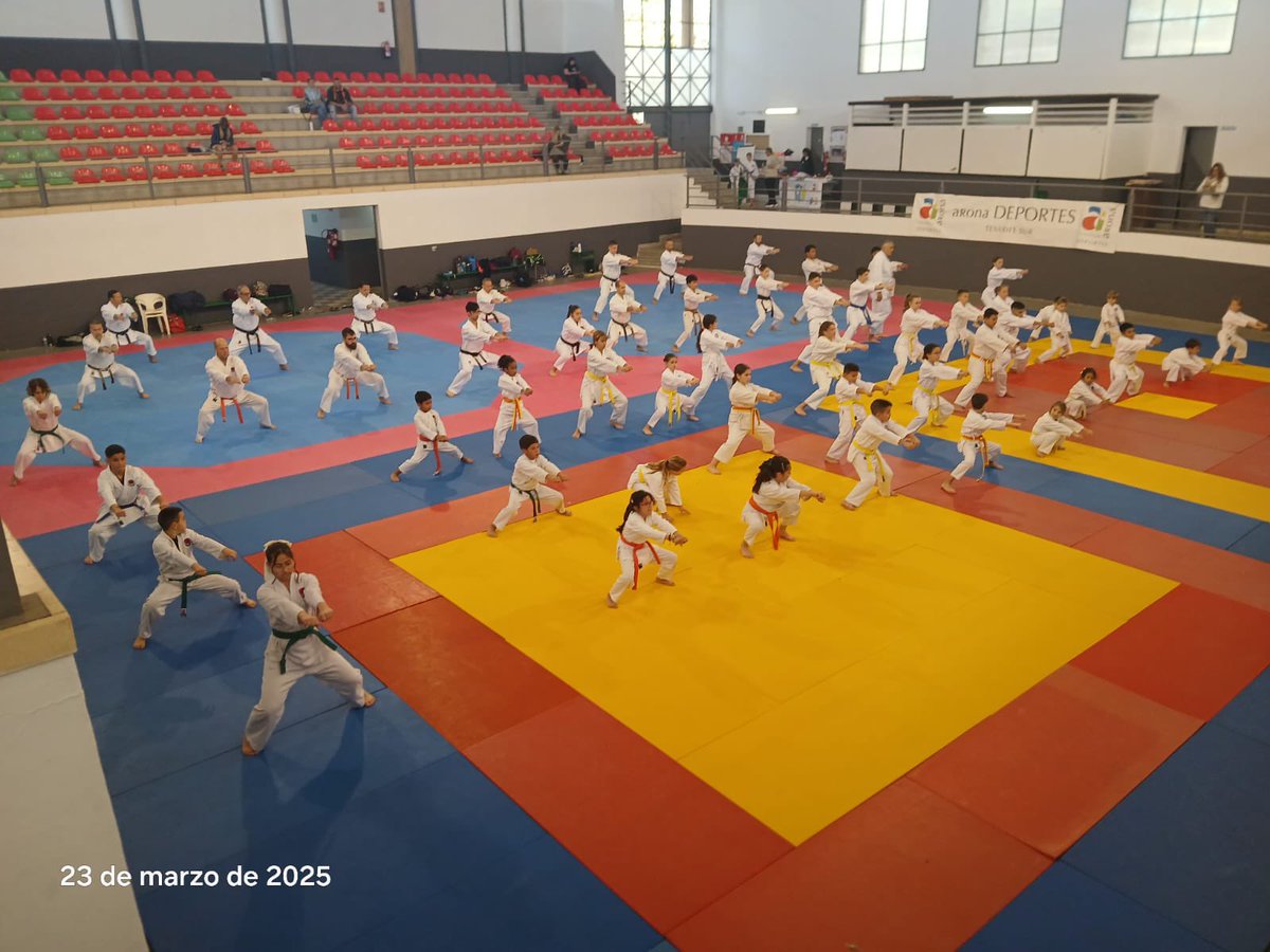 nrivasven's tweet photo. Entrenamiento seminario III Gasshuku JKA CANARIAS 2025 impartido por el sensei Fernando Rivera @fernandoriveraroman Organizado por la ASKTC @dojokihaku  @nrivasven https://t.co/YiBuj3HItJ