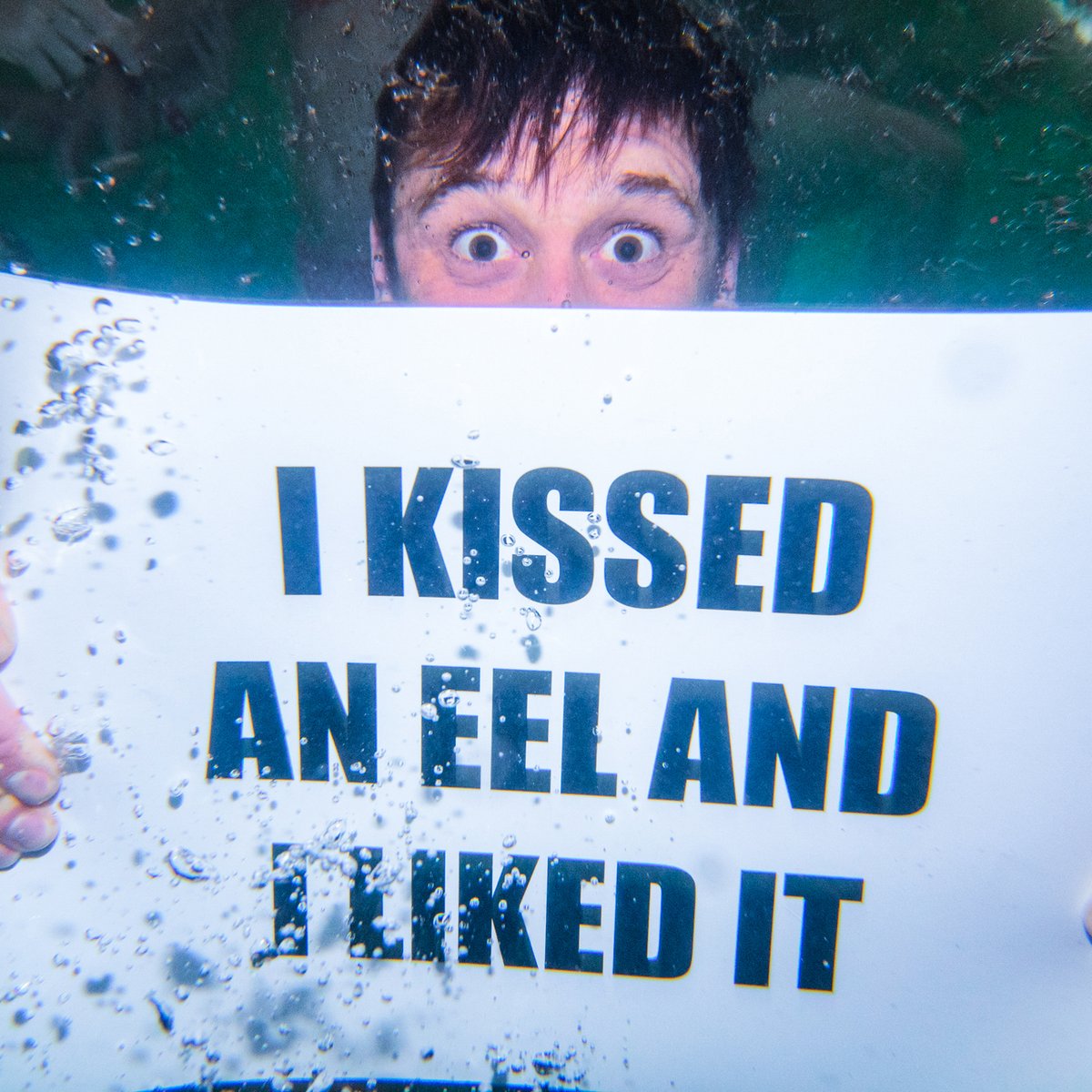 BANG FACE Weekender 2024 - Saturday Pool Party pics now up 💦 ON THE CREST OF A RAVE 🌊😅 bangface.com/archives