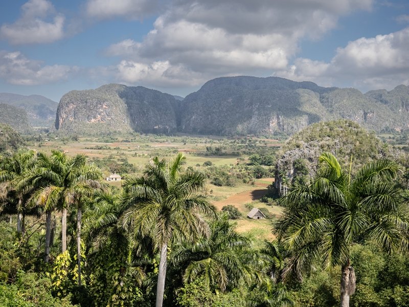 Tommy & Victoria Baker School of Business tweet media