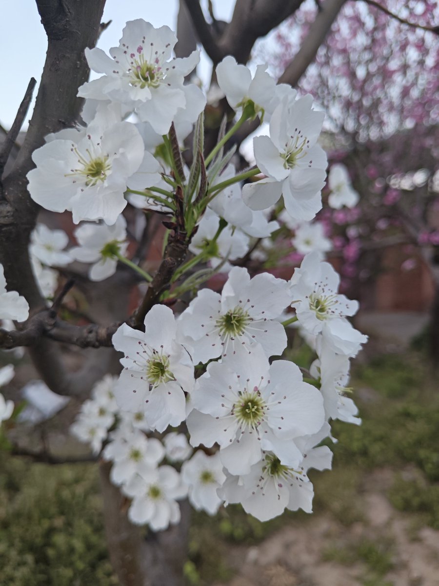 Long （互关必回） tweet media