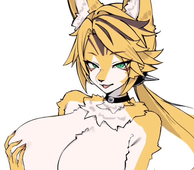 rkgkぷるくらさん 