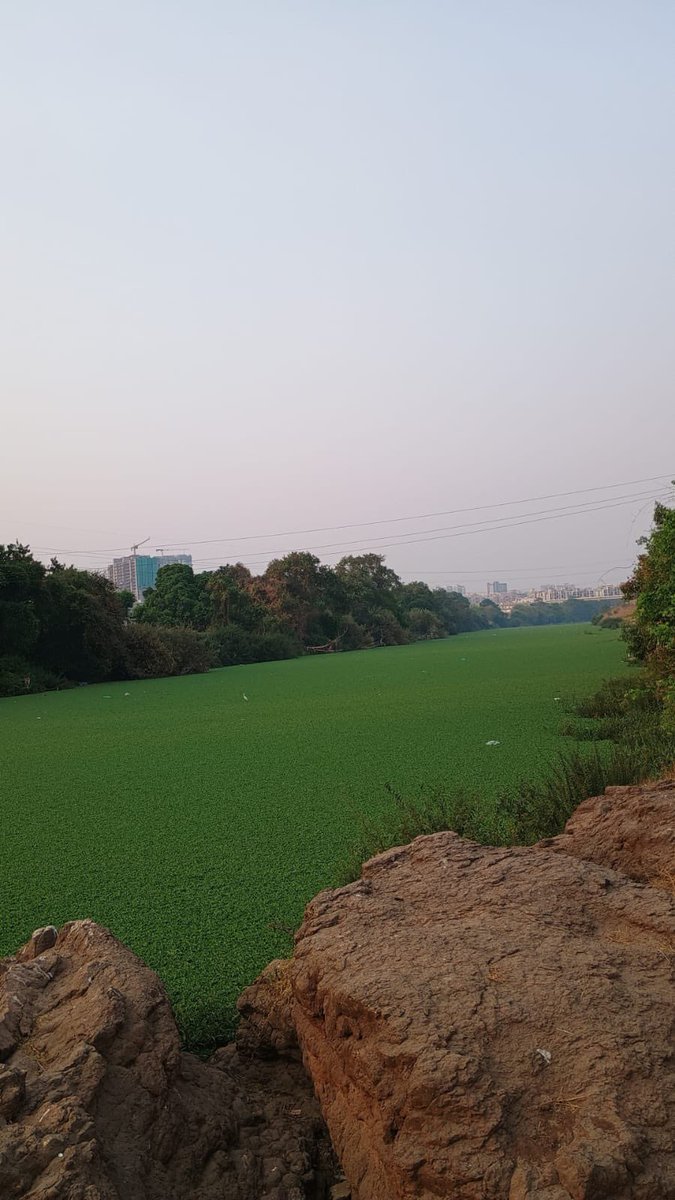 Aditya Khade tweet media